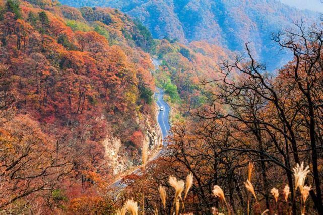 叫板川藏线、美过香格里拉，这条皖西马丁公路，藏尽美景，却少有人知