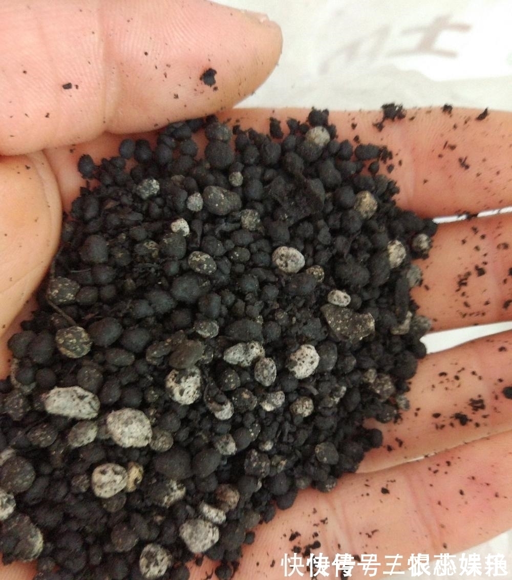 家里养花不花钱, 一个小方法, 用不完的草炭土