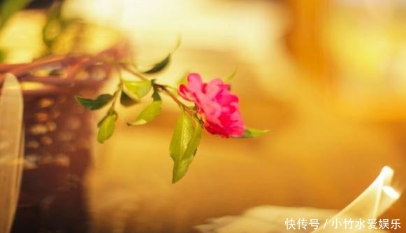 告诉|想学佛,一定要烧香拜佛吗?《六祖坛经》告诉我们不是这样的