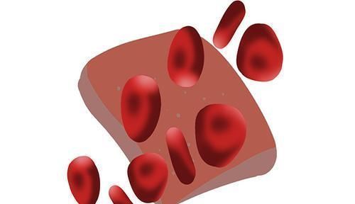 糖分|甘油三酯高,多半是晚餐吃出来的!4类食物管住嘴,血管有弹性