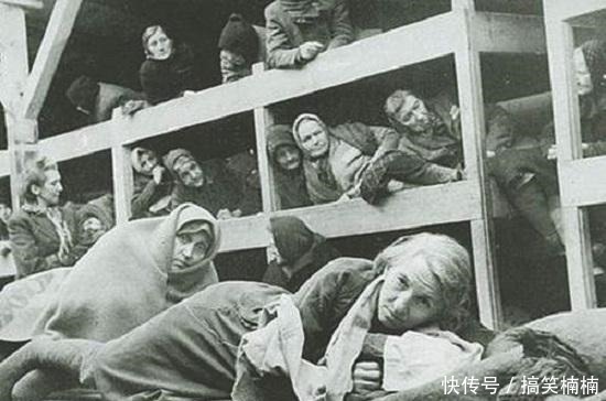 解放|父子被关进集中营,不敢相认,互称友邻,几度死里逃生,等来解放