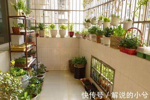 榻榻米|越来越多人的阳台都不会拿来晾衣服，这样装修人人都夸太聪明！