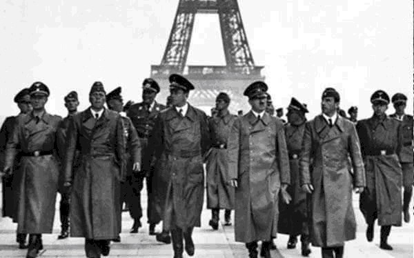 德国|德军二战的100万“动物部队”,没它们可能早就输了