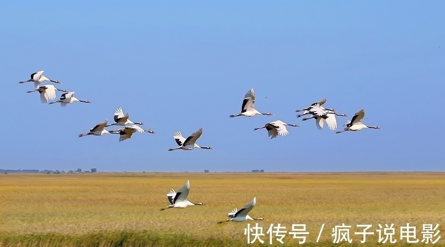 江阔云$满满全是人生的10大诗词排行榜,都有哪些优秀的诗词入榜?