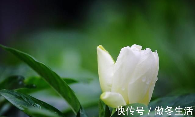 锦瑟@赏八首美到令人窒息的经典古诗词,感受最真挚的情感