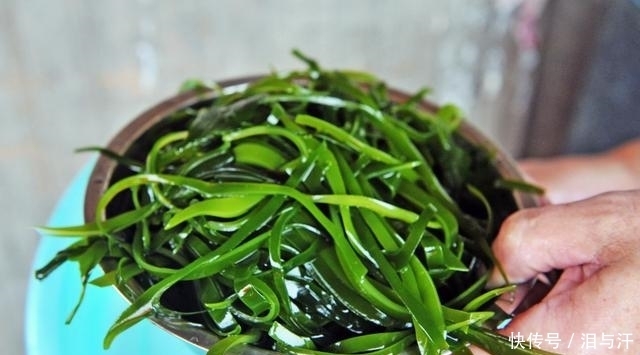 食物|小小猪血作用大,吃时切记避开这几样食物,这么吃才好哦!