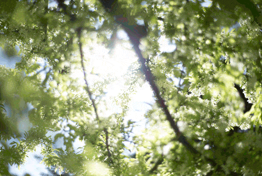 最难穿的绿色竟然2021最流行？原来穿对这么美,超级治愈！