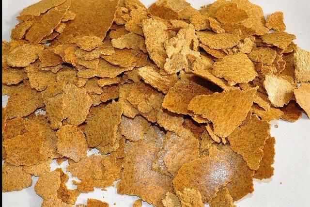 豆饼|玉米、麦麸、豆饼，加上啤酒，专门夏季钓鱼用，天越热越好用