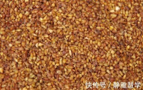 血糖|天然“降糖王”被发现了,糖尿病患者每天吃一点,血糖轻松降下来