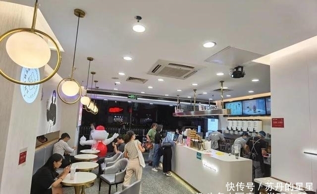 奶茶|我们笑着去了娃哈哈奶茶店,最后哭着回来了…