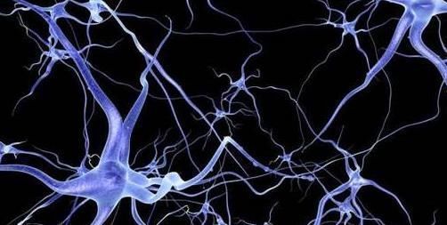 萃枫苷|老年痴呆测试一张图一分钟猜4个成语,越快大脑越灵光