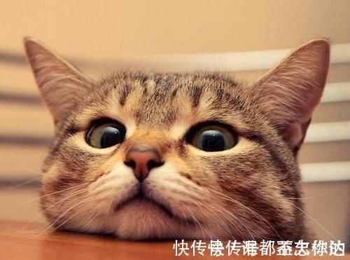 疯话#亡国和尚写下一首趣诗,全是疯话,看懂才明白人生