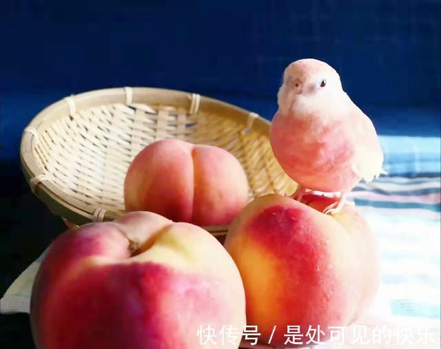 |搞笑图片：宿舍上铺女生床头垃圾袋，从未见她更换过，劝她也不听