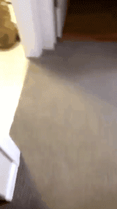 |搞笑gif段子:之所以没考上清华,一定是因为看书姿势不对