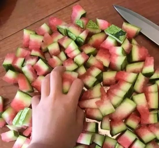 养花营养土不用买，5东西“捂一捂”，养花肥效好、不烂根