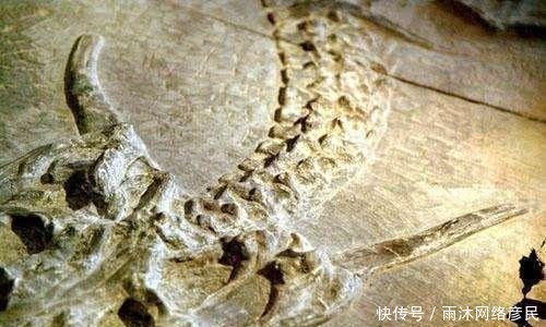 龙的原型究竟是何种生物?有可能是这种生活在两亿年前的生物
