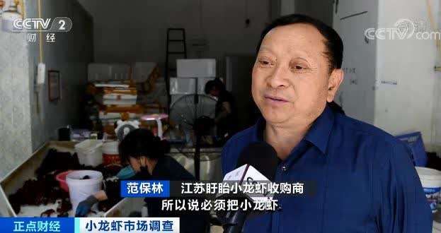 反弹|小龙虾货源收紧，价格低位反弹 还会继续涨吗？