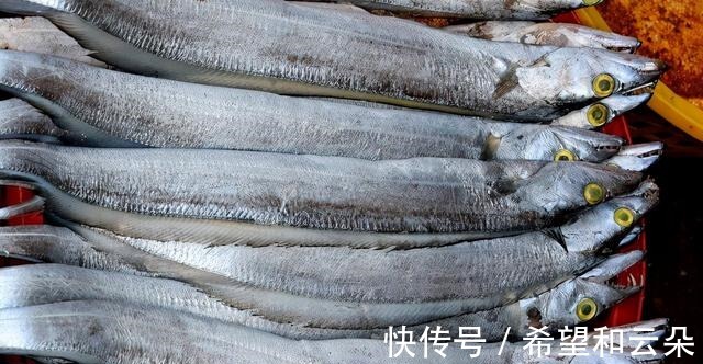 买带鱼时,要分清“黄眼”和“白眼”,差距挺大,弄懂再买不吃亏!