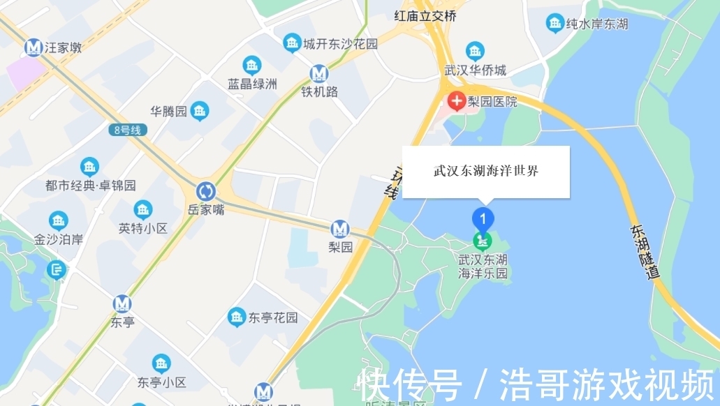 海昌极地海洋公园|定了！武汉再添一座海洋乐园