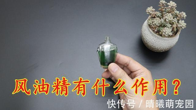 蚊虫|风油精的“值钱作用”,好多人不懂,涨知识了