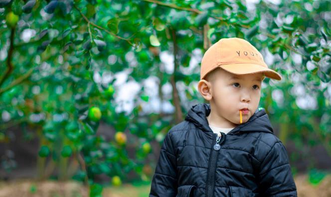 父母|李玫瑾:养儿三忌,养女五忌,知道这些,孩子未来少走弯路