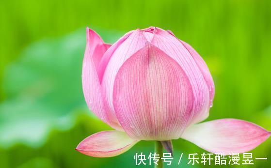 吉星|9月30号开始，4属相吉星照耀，桃花朵朵，生活顺风顺水