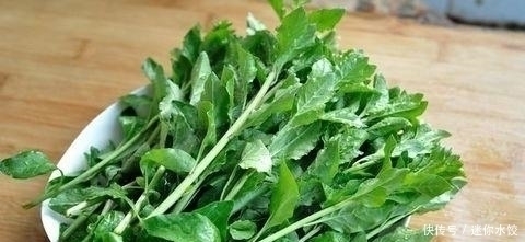 保护肝脏|平常不惹人注意的菜,还是一味药材,竟能保护肝脏,清理血管毒素