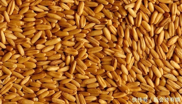 脾虚的人这里常出汗,中年女性吃这些食物,脾胃“强大”起来!