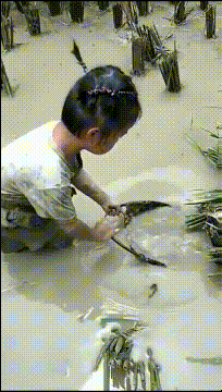 |搞笑GIF趣图:姑娘,你不觉得这里臭气熏天吗,难道这就是你的灵感