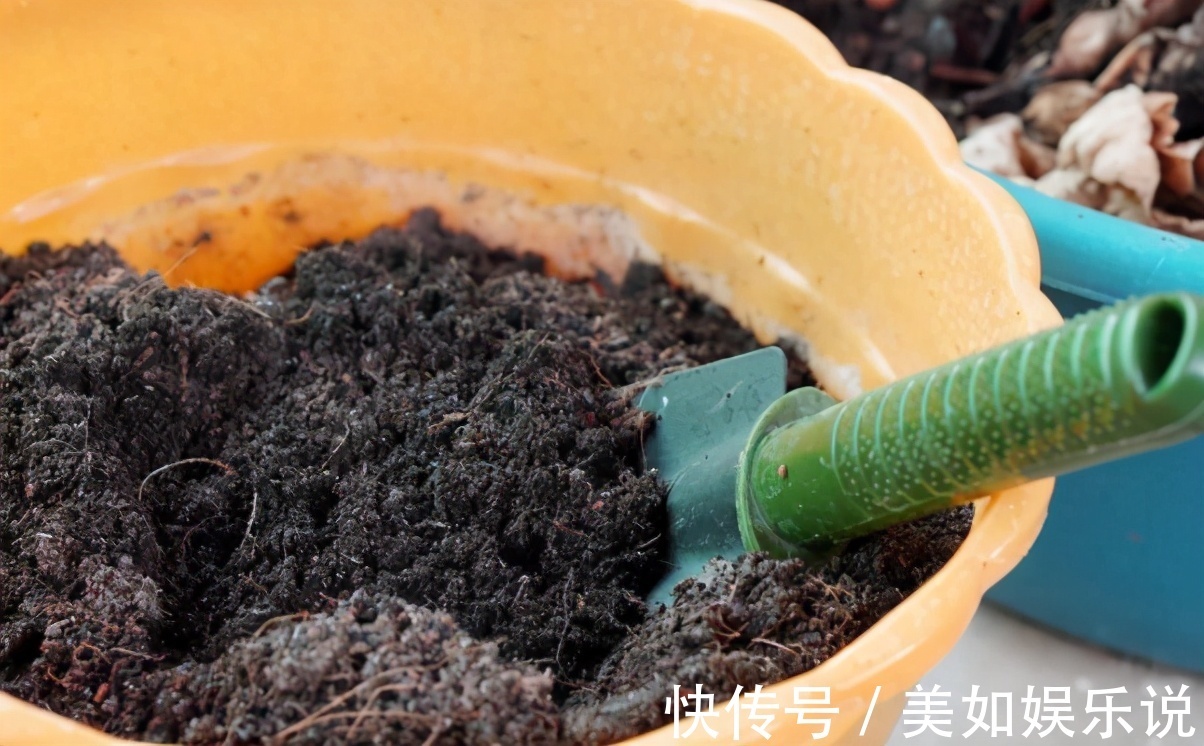 花土别再乱买了!搞不清养花环境,再好的土也烂根,自己配制最好