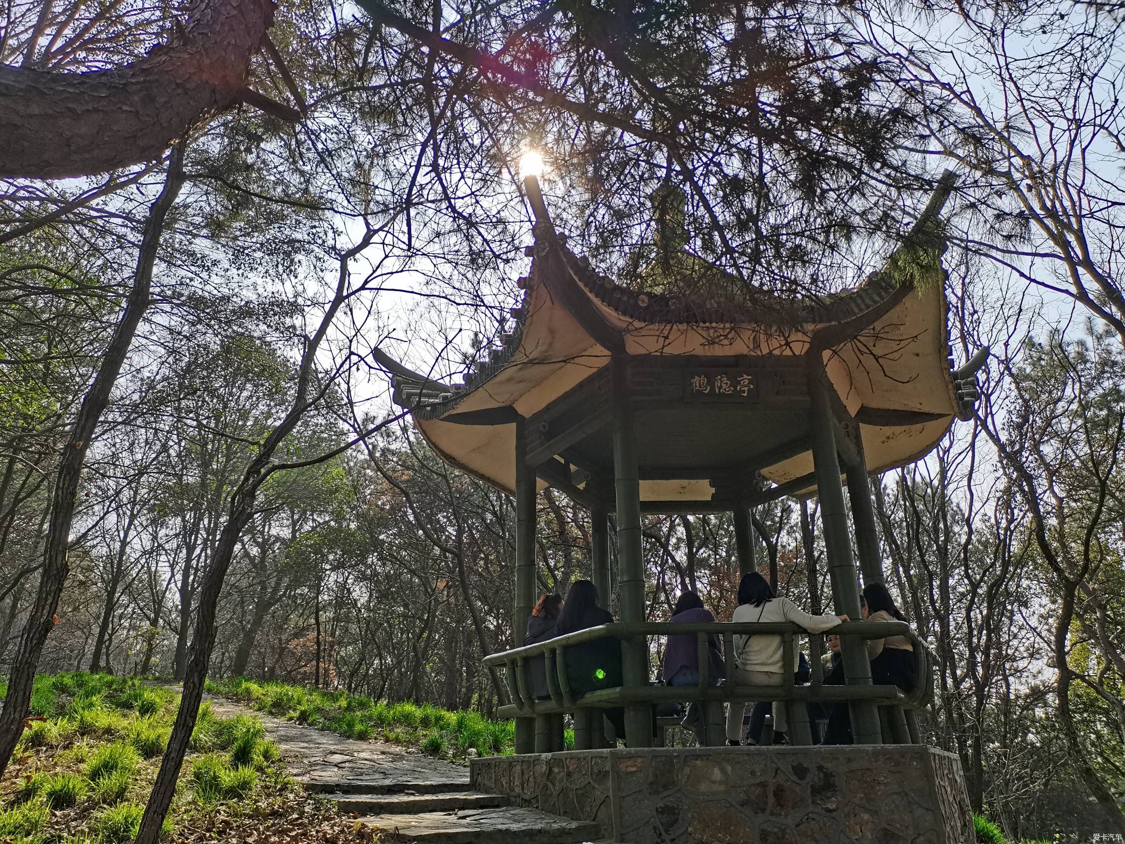 情人节逛森林公园