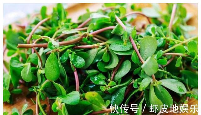 马齿笕|不是孕妈身体太娇气,而是这三种蔬菜太“毒”,胎儿的发育耗不起