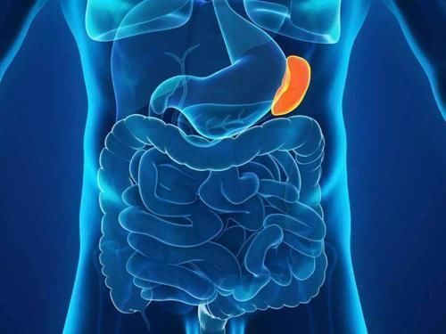 健脾|“脾虚百病生”,如何提高脾胃功能?掌握这3点,健脾又祛湿