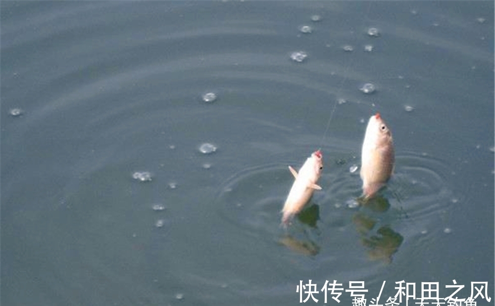 冬季钓鱼，先别着急下竿，多走走、多看看，两大策略帮你找到鱼窝