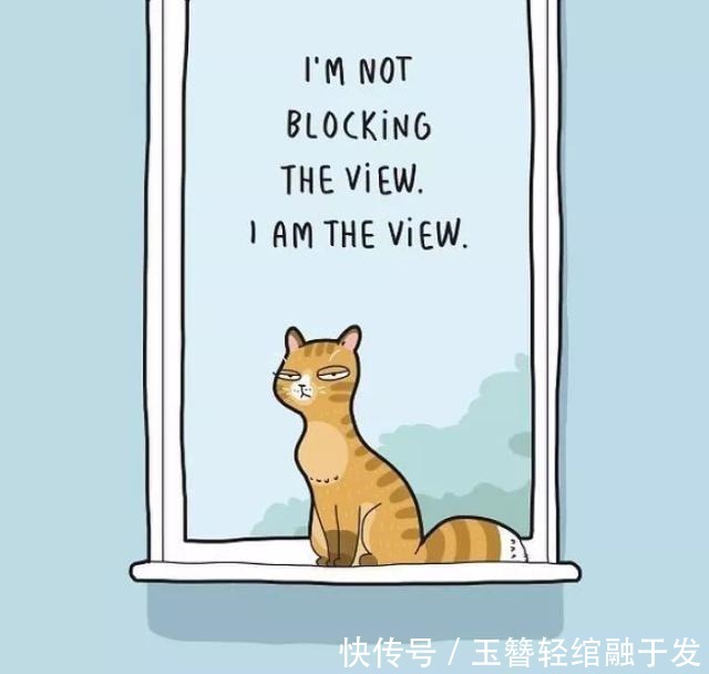 养猫|养猫很有趣吗艺术家用插画描绘出那些,搞笑又暖心的时刻