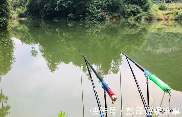 断线真的是因为鱼大吗?不改掉这几个习惯,线再粗也会秒切