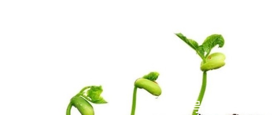 基本原理@渊回哲学:哲学的原理是什么?三大规律对立统一,量变质变,否定