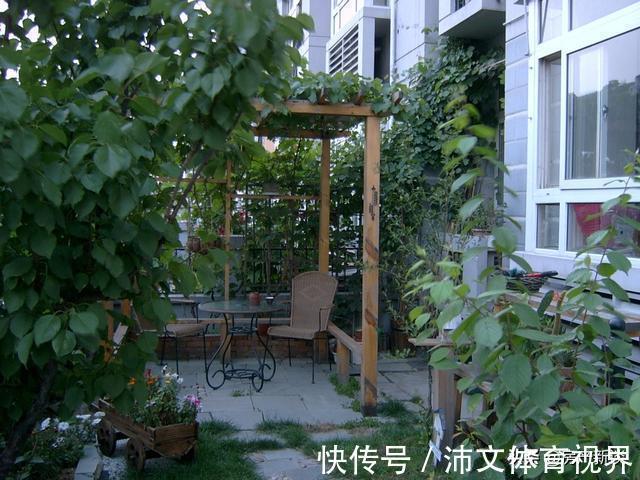 建筑学家|带“阁楼”的顶楼和送“院子”的一楼，选哪个？建筑学家给出答案