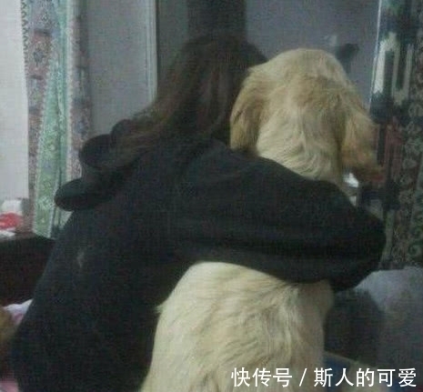 |搞笑GIF:面包车觉得很无辜啊!后面的小姐姐开过去了吗?