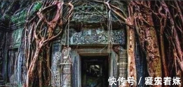 盗走!最“敬业”的盗墓贼:在墓上盖房子,花20年凿穿墓顶,盗走宝贝