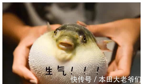 羽绒服 这是属于纱线的魔法~揭秘冬奥会美国代表团黑科技羽绒服