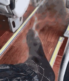 |搞笑段子王：大哥，你不知道这是一张有味道的图吗？