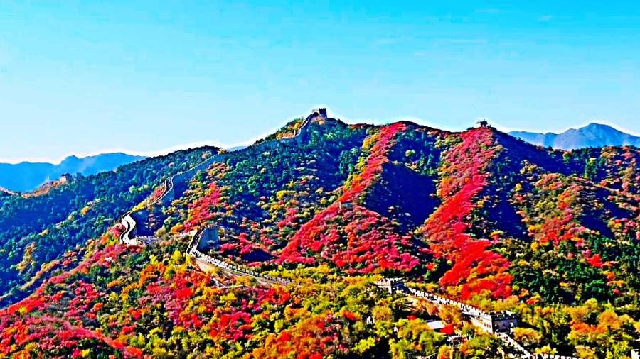 万里长城|巍巍长城亘山川，枫叶流丹，万山红遍，层林尽染，景色万千