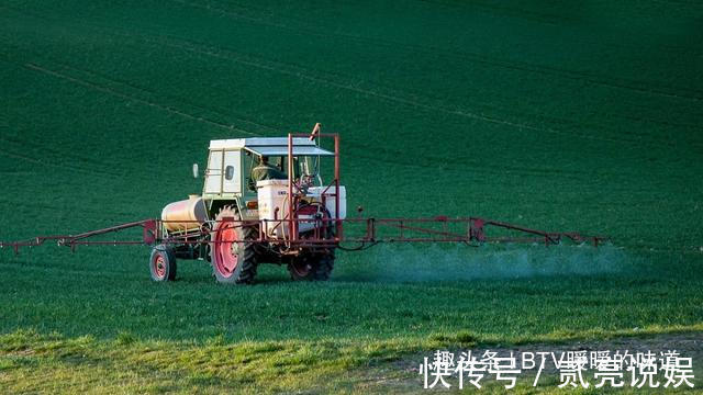 农药|8种最脏蔬果排名出炉,很多孩子都爱吃,吃水果前一定要多洗几遍