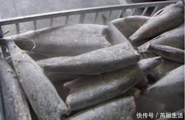 鱼片|4种鱼,或是病菌的“仓库”,免费送也别要,发现了要立即扔掉