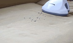 90的人都在陪螨虫睡觉螨虫最怕3种东西，好好利用，螨虫跑光光