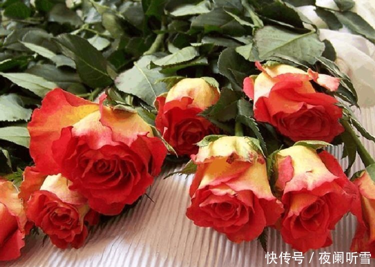 喜欢菊花，不如试试“优良玫瑰”彩纸口红，花开如唇彩，美艳秀丽