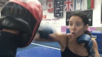 |搞笑GIF:养了这么只哈士奇,主人是崩溃的吧