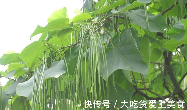 立秋前后豇豆怎么做好吃?加点肉末,去燥营养不丢失