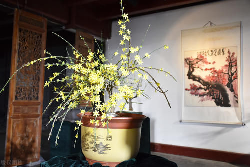  植物花卉|别再为浇水发愁了，给你支招“10多10少”浇水法，比啥方法多管用